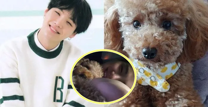 Suga Posts Photos Of Him Caressing Holly And Melts Fans' Hearts